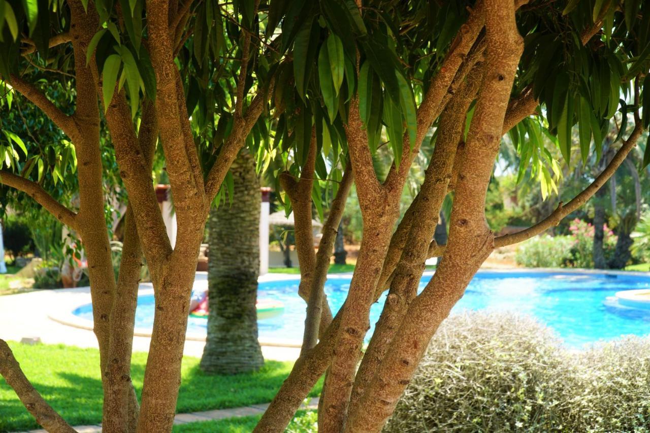 Agroturismo Finca Sa Tanca กาลาดอร์ ภายนอก รูปภาพ