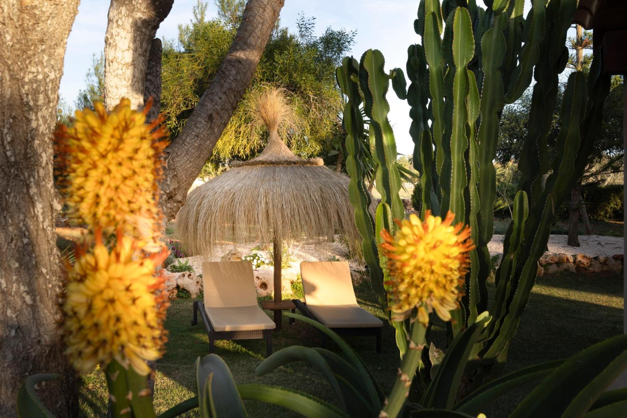 Agroturismo Finca Sa Tanca กาลาดอร์ ภายนอก รูปภาพ