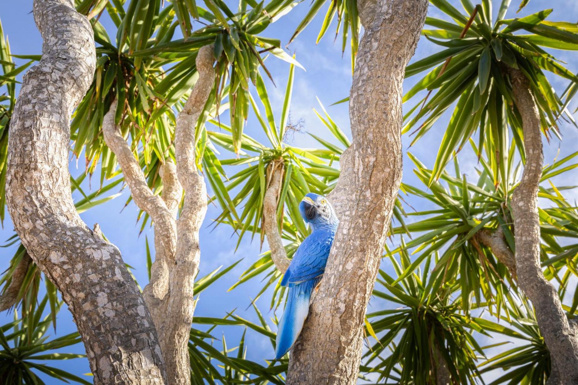 Agroturismo Finca Sa Tanca กาลาดอร์ ภายนอก รูปภาพ